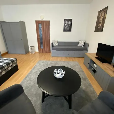 Cerny Tulipan - Apartman 1 Plzen Exterior photo