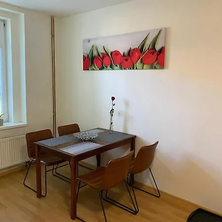 Cerny Tulipan - Apartman 1 Plzen Exterior photo