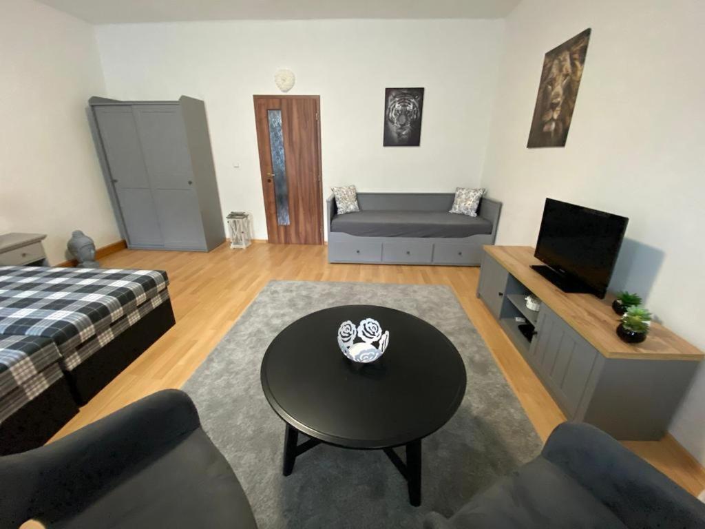 Apartment Cerny Tulipan - 1 Plzen