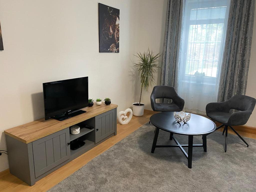 Apartment Cerny Tulipan - 1 Plzen
