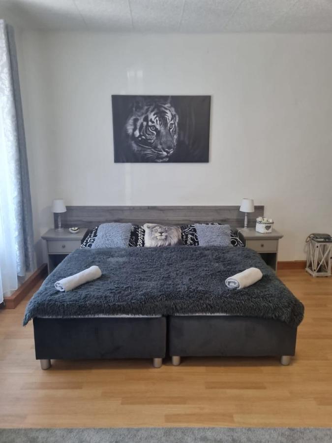 Cerny Tulipan - 1 * Plzen