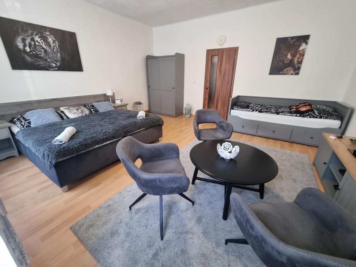 Cerny Tulipan - 1 Apartment *
